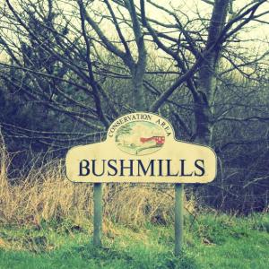 Bushmills conserv