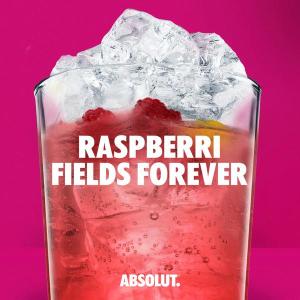 Absolut raspberri