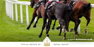 stella ascot