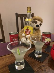 hav club sloth tw jan 16