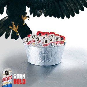 tecate eagle tw jan 16