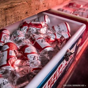 12918396_527275307433229_1814253379_n