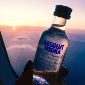 13129274_925362000908446_785220388_n