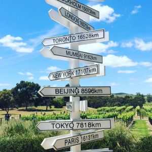 15034529_2133590290199574_268695095362977792_n