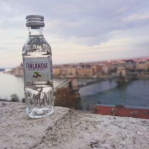 15056522_555058931349991_8266776008493891584_n