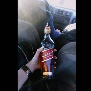 15624790_192778384521708_535035105538736128_n