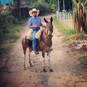 16906572_1905423719741402_3120182921797828608_n