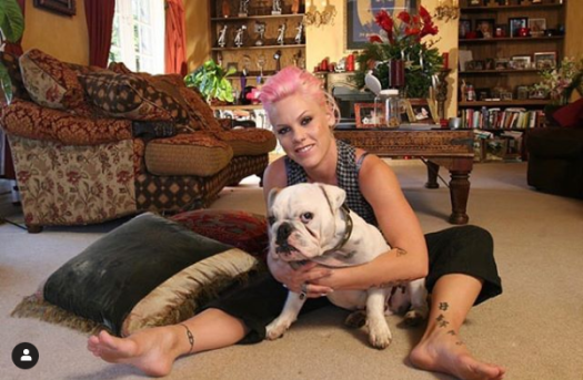 Screenshot_2019-11-12 #jameson hashtag on Instagram • Photos and Videos.png